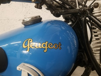 P 107 350 PEUGEOT BLEU